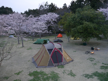 花見キャンプ２０１６