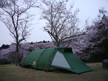 花見キャンプ２０１６