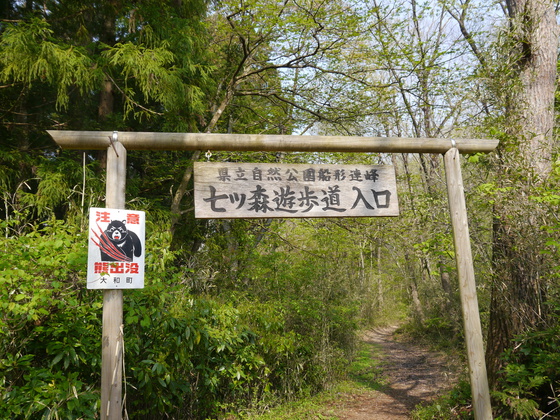 新緑ハイク