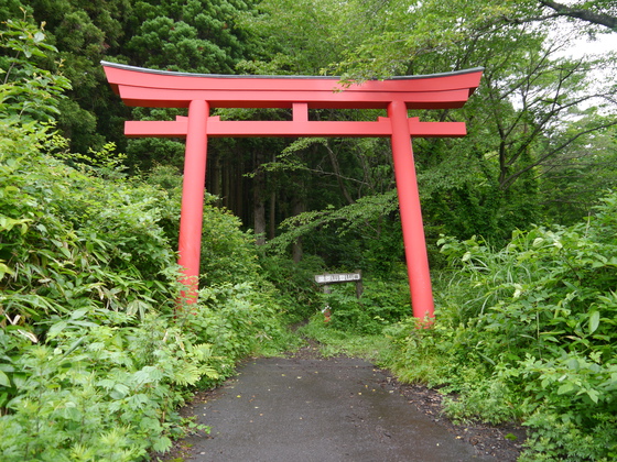 父子ハイク