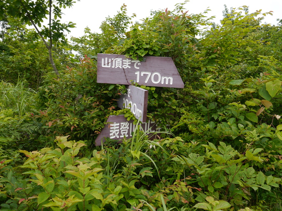 父子ハイク