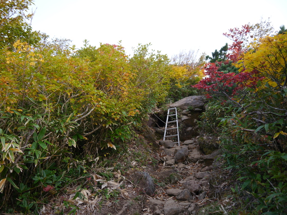 紅葉ハイク