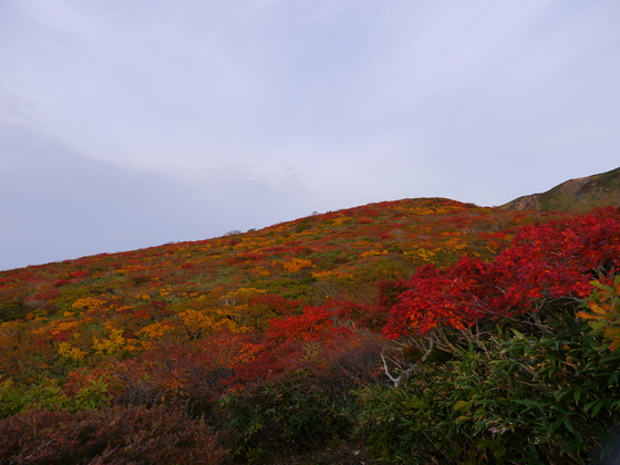 紅葉ハイク
