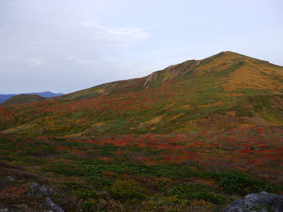 紅葉ハイク
