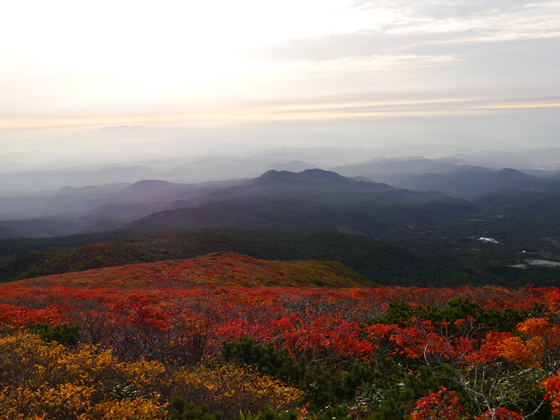 紅葉ハイク