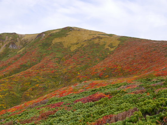 紅葉ハイク