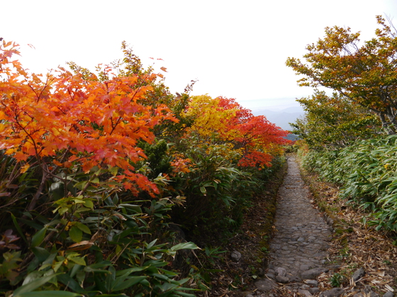 紅葉ハイク