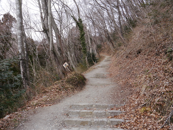 鹿狼山、深山ハイク