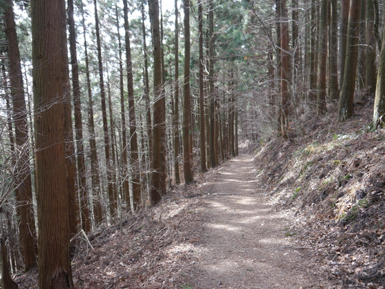 鹿狼山、深山ハイク
