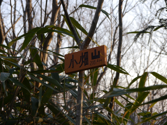 蕃山ハイク