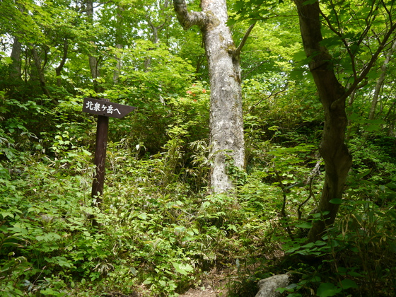 北泉ヶ岳、泉ヶ岳ハイク