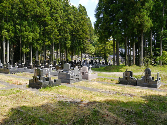 大倉山、蜂倉山ハイク