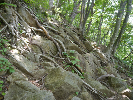大倉山、蜂倉山ハイク