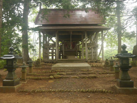 権現森ハイク