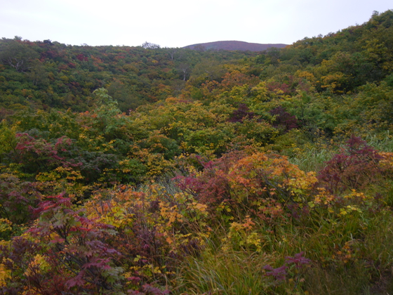 須川岳ハイク