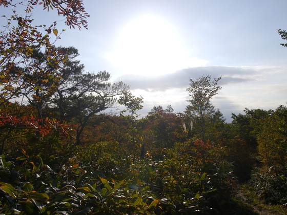 不忘山ハイク