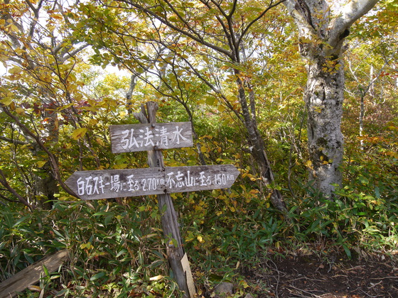 不忘山ハイク