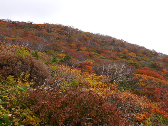 不忘山ハイク