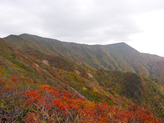 不忘山ハイク