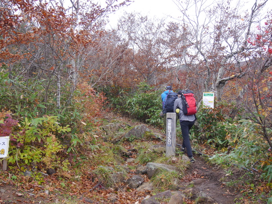 栗駒山ハイク