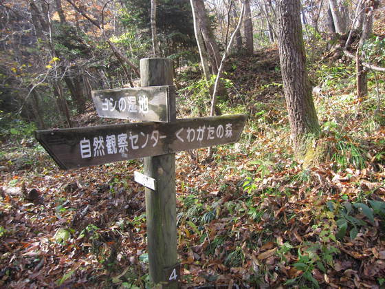 太白山ハイク