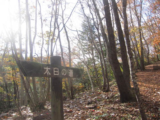 太白山ハイク