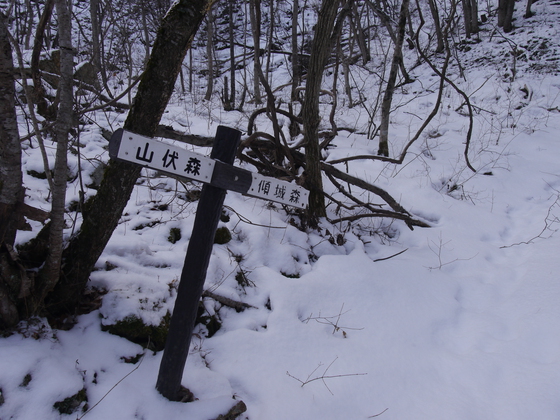 傾城森ｈｉｋｅ