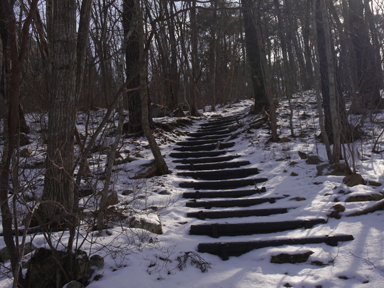傾城森ｈｉｋｅ