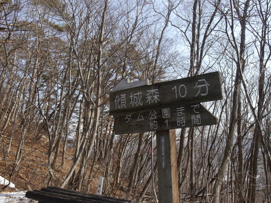 傾城森ｈｉｋｅ