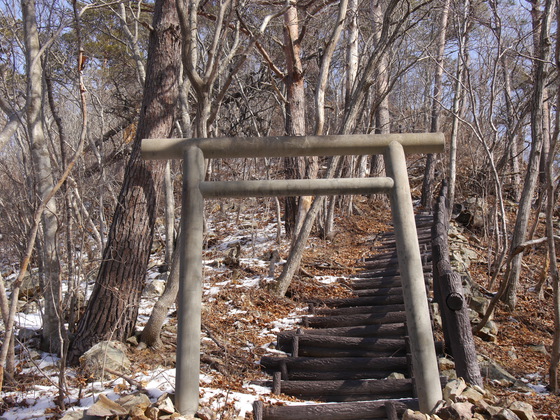 傾城森ｈｉｋｅ