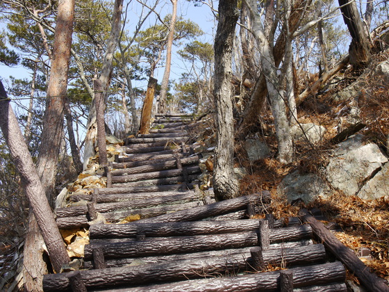 傾城森ｈｉｋｅ
