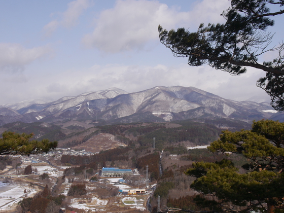 傾城森ｈｉｋｅ