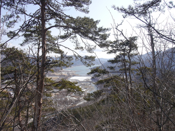 傾城森ｈｉｋｅ