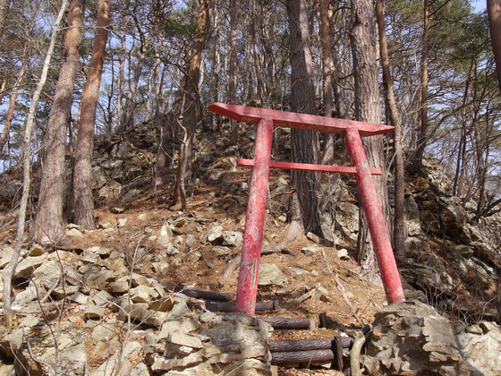 傾城森ｈｉｋｅ