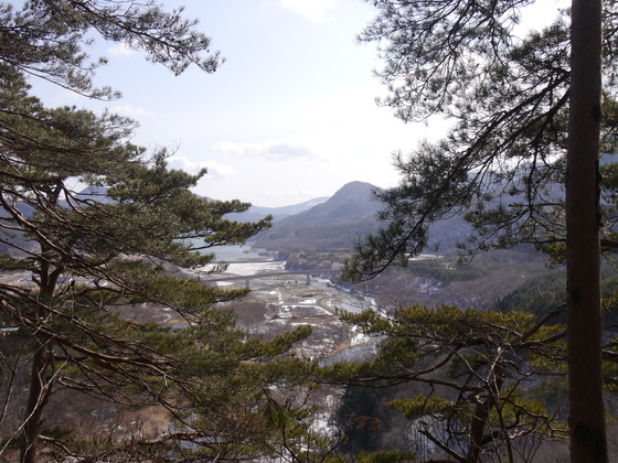 傾城森ｈｉｋｅ