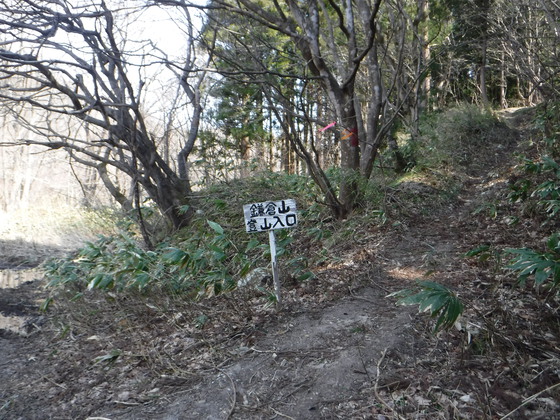 ゴリラ山hiku