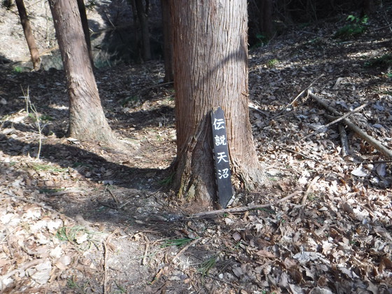 ゴリラ山hiku