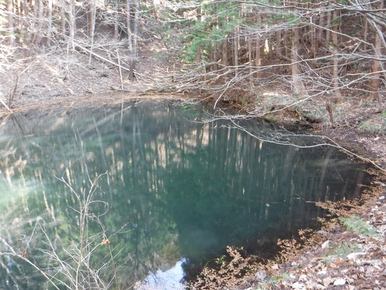 ゴリラ山hiku