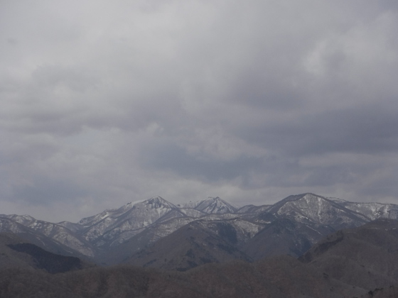 ゴリラ山hiku