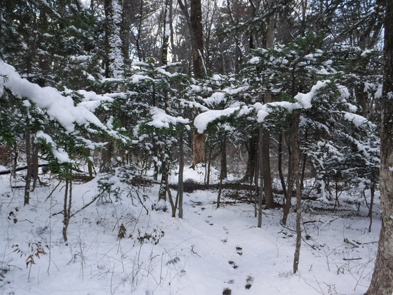 蕃山縦走hiku