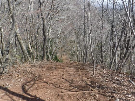 外山.五社山hiku