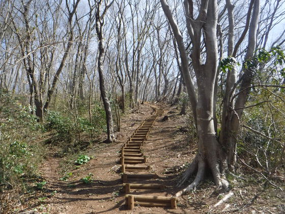 外山.五社山hiku