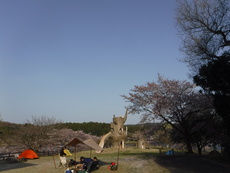 花見キャンプ2019