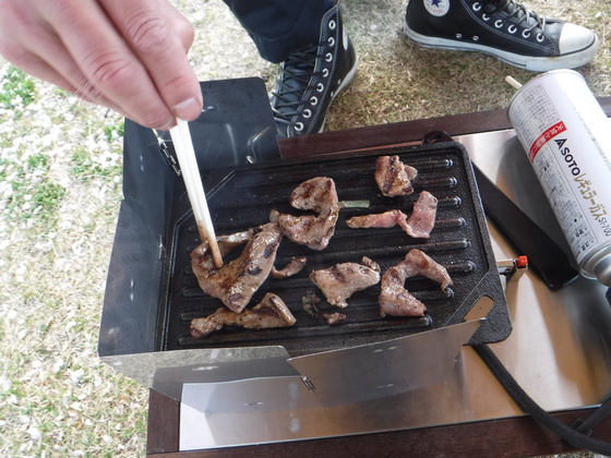 花見キャンプ2019