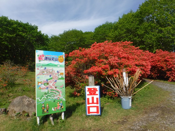 徳仙丈山・大森山hiku