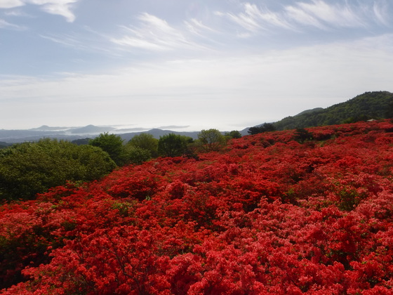 徳仙丈山・大森山hiku