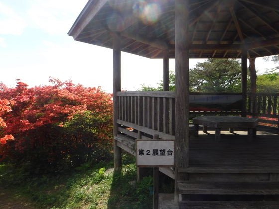 徳仙丈山・大森山hiku