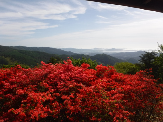 徳仙丈山・大森山hiku