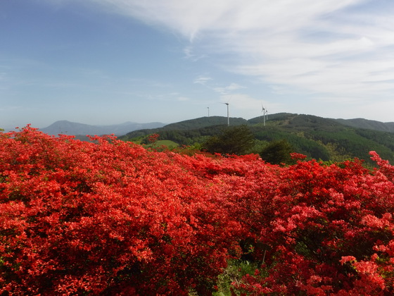 徳仙丈山・大森山hiku