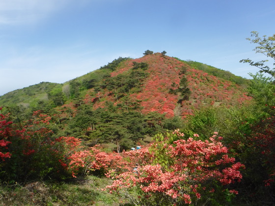 徳仙丈山・大森山hiku
